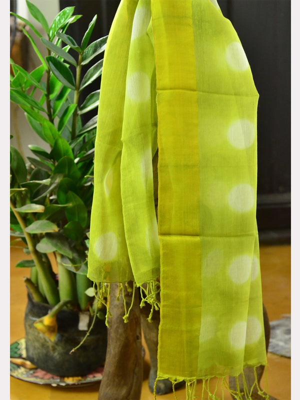 JOLCHAP SCARF 18