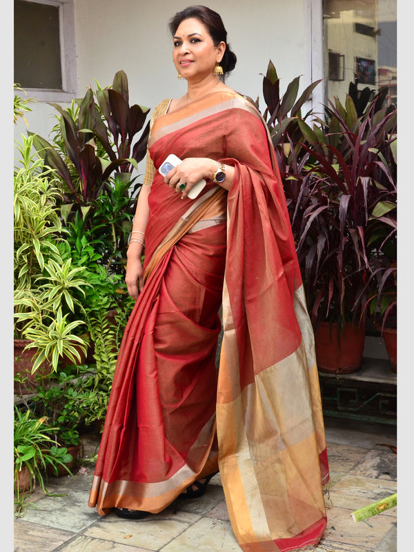 TISSUE JAQ SAREE 01
