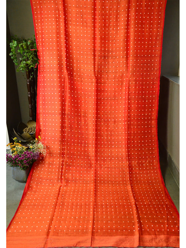 DISCO SHELL SAREE 05