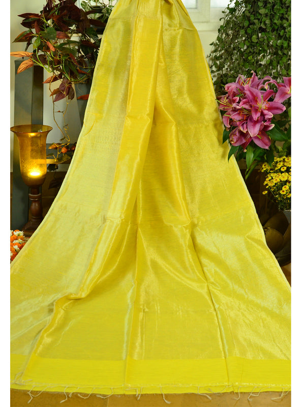 KD ZIGZAG SAREE