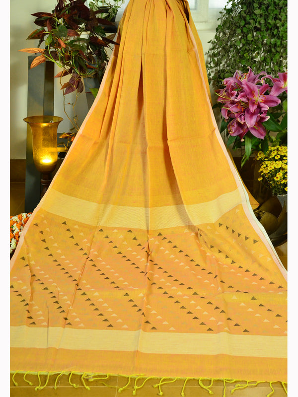 LIN ANCHOL JAM SAREE