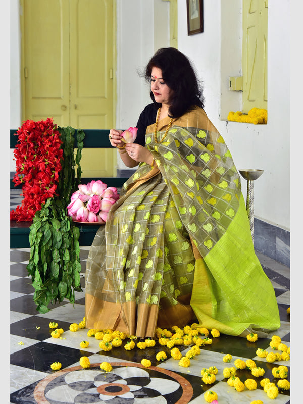 TISSUE CHK MOYUR SAREE