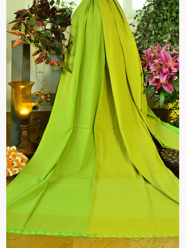 LAMA COTTON SAREE 02