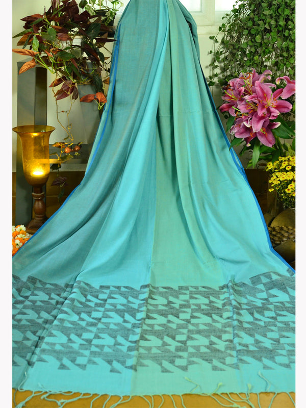 NOIL JAM02 SAREE