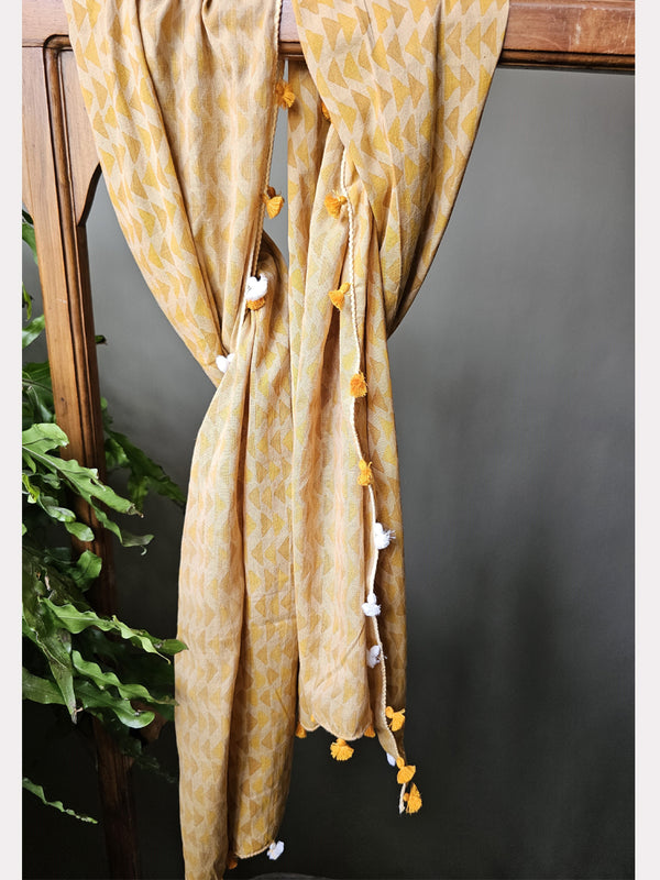 CHAPAI KAPAS SCARF 02