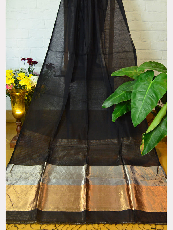 TISSUE SILK COTTON SAREE 04