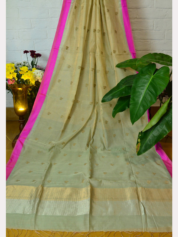 TISSUE HORIN SAREE