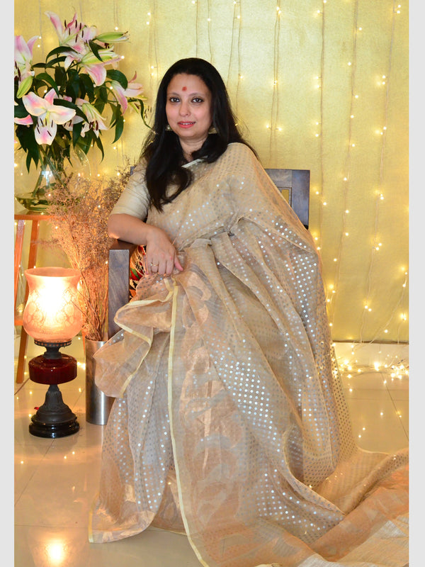 LUTHFA SEQUINS 02 SAREE