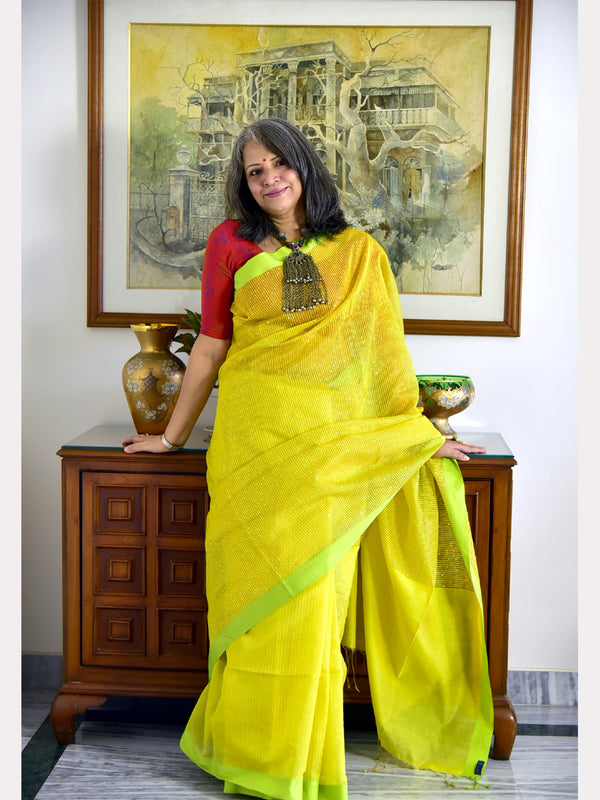 SEQUINS CHANDA SAREE 02