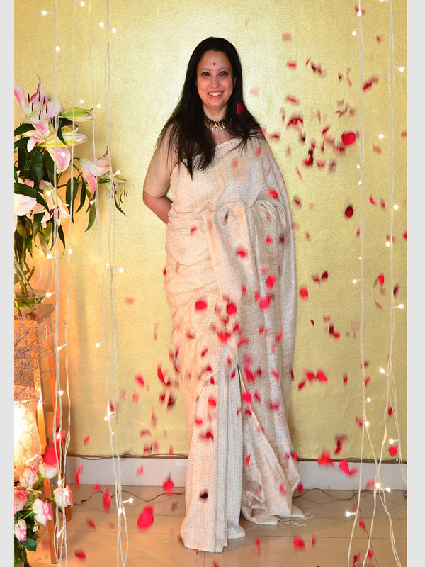 SHIMMER SEQUINS 13 SAREE