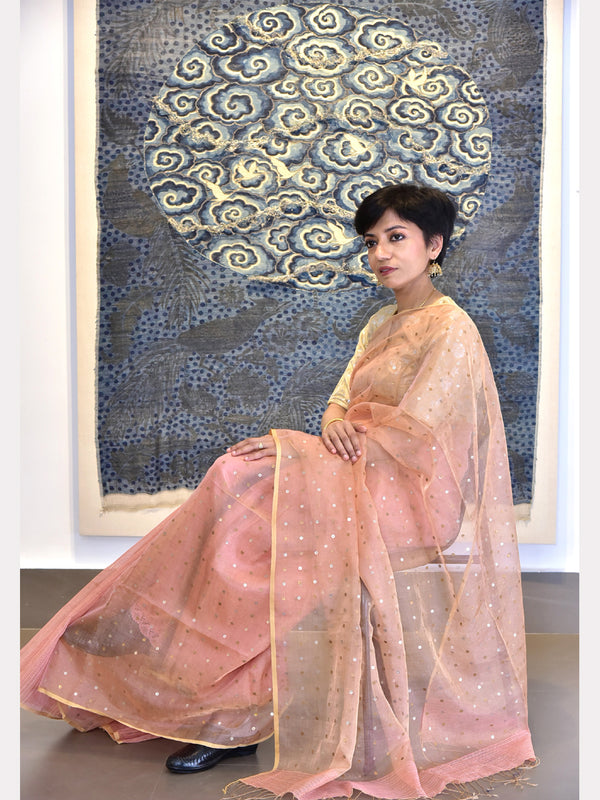 JHIRI JARI POCKET H/H SAREE