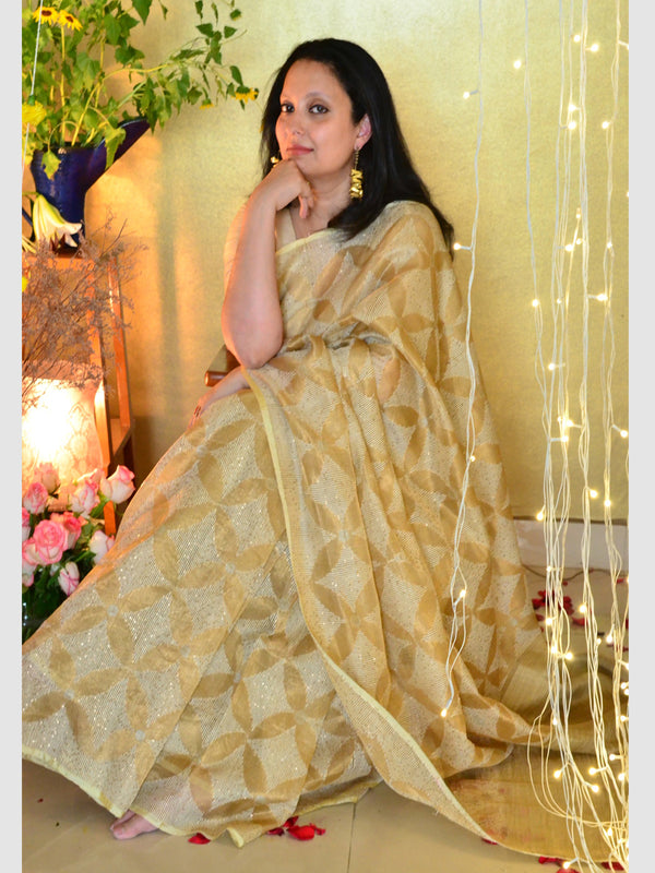 SHIMMER SEQUINS 08 SAREE