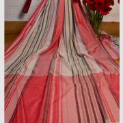 TUSSAR STP4 SAREE