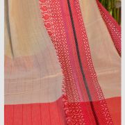 TUSH NAKSHI 2 SAREE