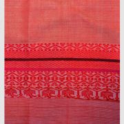 TUSH NAKSHI 2 SAREE