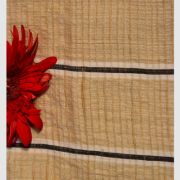DHOLOK BUTI02 SAREE