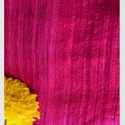 TISSUE RADHI SAREE 02