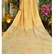 TITLI SEQUINS SAREE