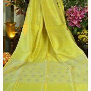 BRITTO BODY CHATAI SAREE 05