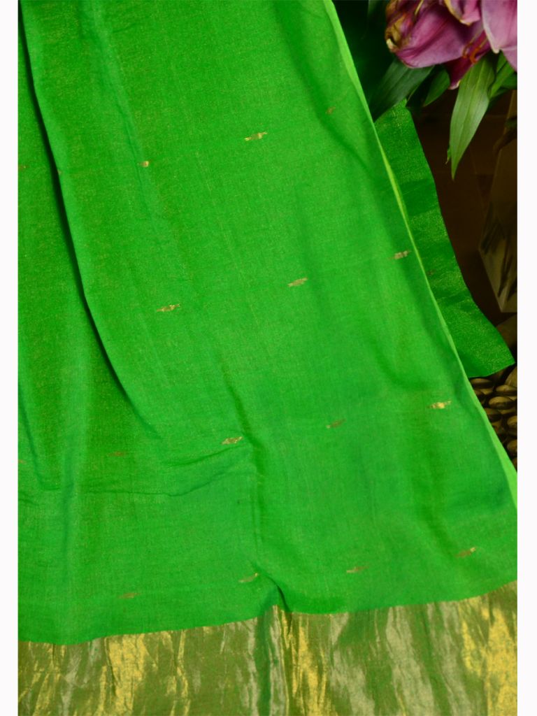 NOIL MACHI ALV SAREE 01