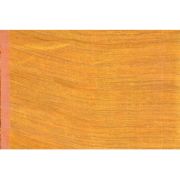 RANI ANCHOL SAREE