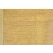 TITLI SEQUINS SAREE