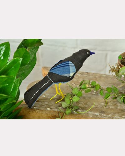 BIRD 07