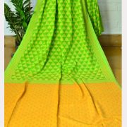 CHAPAI NABABARSHA SAREE 09